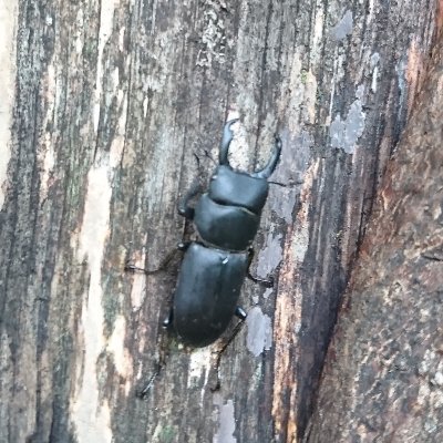 bumps50's profile picture. 山、筋トレ、投資、就活、外資、
大学入試、ジム。