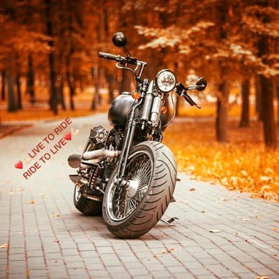 mamoon_mkh's profile picture. يظنّون ان دندنات الموسيقى رآحة لهم !! هنيئاً لـمـن ادركَ [ ألا بذكر الله تطمئن القلوب ] ..♥