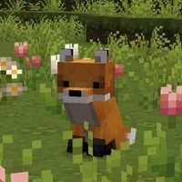 Weirdodiff (@weirdodiff) 's Twitter Profile