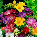 Alicia Santamaria - @AliciaS64828935 - Twitter