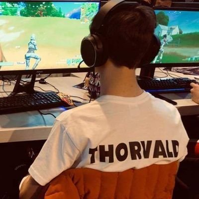 Thorvald__'s profile picture. 🇨🇵
| Fortnite player ex @Sked_Esport & @TeamGrowecy
| L3 Staps
| 20ys
