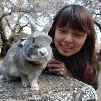 Christina Chung (@sweetflute) 's Twitter Profile Photo Christina Chung (@sweetflute) 's Twitter Profile Photo