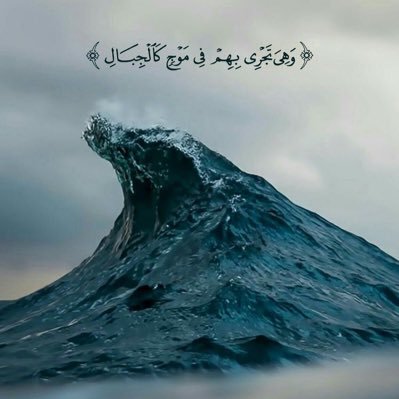 fighter_sailor's profile picture. أعشق البِحار و خُضَت فيها سنوات عديدة حدث فيها ما لم يُحمد عُقباه ....فما كان لي سوى محاربة الأمواج لكي أصل إلى بر الأمان