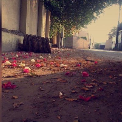 Toto20109999's profile picture. 