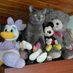 leonardo (@gato25013102) Twitter profile photo leonardo (@gato25013102) Twitter profile photo