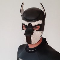 Pup Orca π¨π¦π¨π΅ (@pup_orca) 's Twitter Profile
