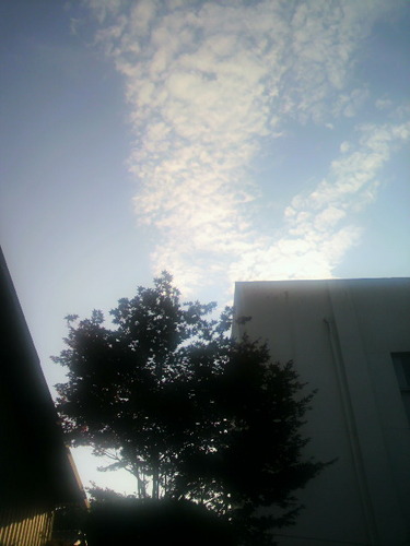 newneww22's profile picture. めっきりビール。好きな音楽とどっぷりキスマイ。