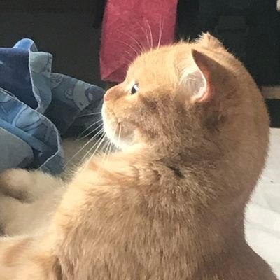 vdojou's profile picture. 