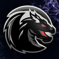 Enigma Dragons(@EnigmaDragonsGS) 's Twitter Profile Photo