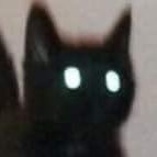 no_phage's profile picture. lgbtqiacab