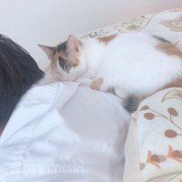 みずくん (@mizukun2425) Twitter profile photo