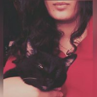 Little Red Riding Hood (@xenon_xe_) 's Twitter Profile