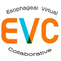 Esophageal Virtual Collaborative(@EsophCollab) 's Twitter Profile Photo