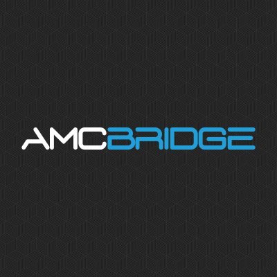 AMC Bridge, Inc. Profile