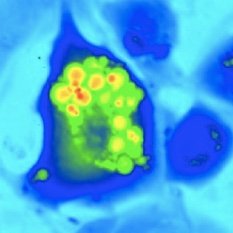 Research Group Experimental Biophotonics at @ceitec_brno in the Czech Republic