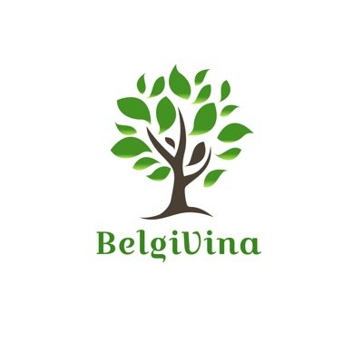 BelgiVina, is based in Ho Chi Minh 🇻🇳🇧🇪. Specialised in Im&Export, International Trading, Sourcing of Manufacturers, Products, Services and Labor.