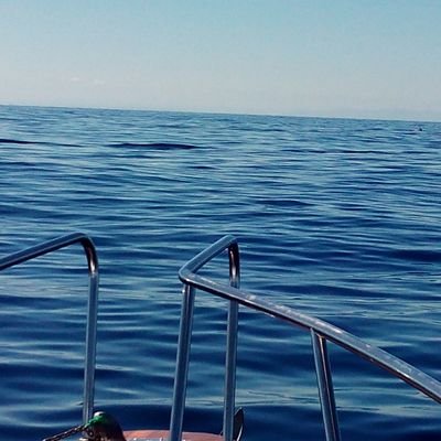 PedroJosBra1's profile picture. 