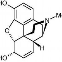 DaDurtEdoc (@docfashion) 's Twitter Profile Photo