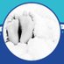 Bump to 5 Torbay (@totorbay) Twitter profile photo Bump to 5 Torbay (@totorbay) Twitter profile photo
