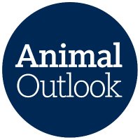 Animal Outlook(@AnimalOutlook) 's Twitter Profile Photo