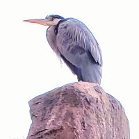 🌨️ (@maishukayobi) 's Twitter Profile Photo