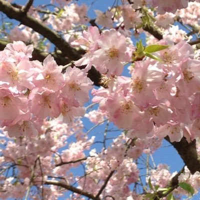 いろいと Yawara 二次小説完結 Yawara 二次小説更新しました 章のタイトルでわかっちゃいますね 27章1話 柔の誕生日 T Co 0iqlujvvdd Yawara 二次小説 猪熊柔 松田耕作 誕生日