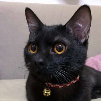 六太のプロフィール写真