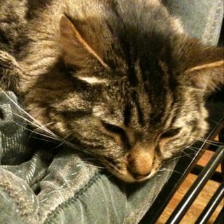 onewisechoice's profile picture. just one wise choice at a time. you can do this..