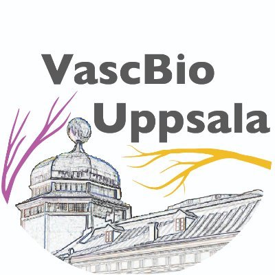 Official Tweets from Uppsala Vascular Biology Unit, our mission is to expand the knowledge of blood and lymphatic vessels in health and disease #VascBio