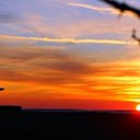 Lori Barto - @barto_lori - Twitter