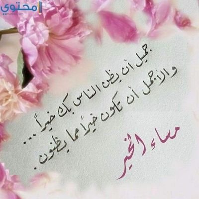 ym6EfMvIVCYFay0's profile picture. 