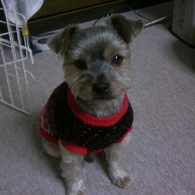 midoriasuka's profile image