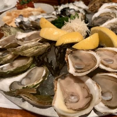 seh87731748's profile picture. 