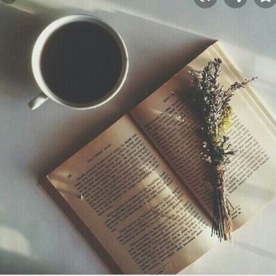 notasescritaas's profile picture. https://t.co/wmGQ6svsTN