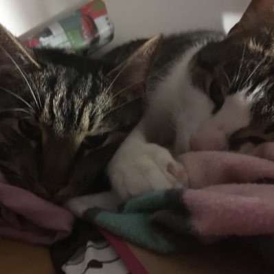 susanna50042511's profile picture. Pidän suurimman osaan ajastuksistani sisälläni