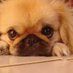 Rocio (@rococo05433753) Twitter profile photo