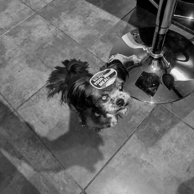 Oraclese11's profile picture. 