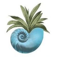 Discover Seabrook (@seabrook_sc) 's Twitter Profile Photo