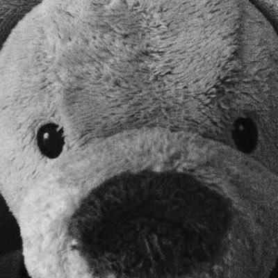 ibnumber10's profile picture. 