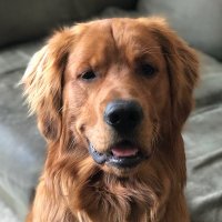 Mike Sherry (@mikesherry14) 's Twitter Profile