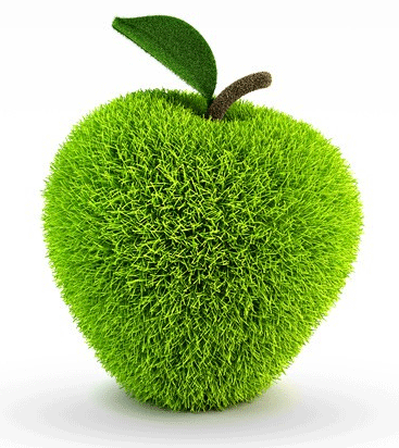 100% Green Web Hosting
Apple Mac Specialist
Web Development & Design
Graphic Design
Internet Marketing
Social Networking
Drupal & Joomla CMS
Learning CMS