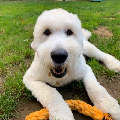 JBeck_sal's profile picture. 