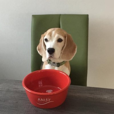 Anifit - Natürliches, artgerecht gesundes Hundefutter / Katzenfutter