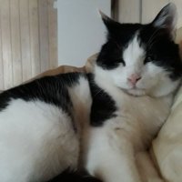 AET247 (@aetcrypto) 's Twitter Profile