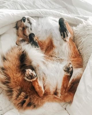 francescdelvall's profile picture. 