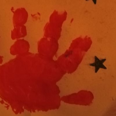 Voluntaris GLORIA! Profile