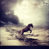 amazezo (@amazezo1) Twitter profile photo