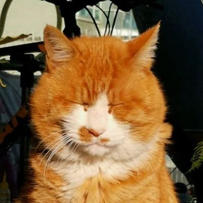 Cars_Liu's profile picture. 