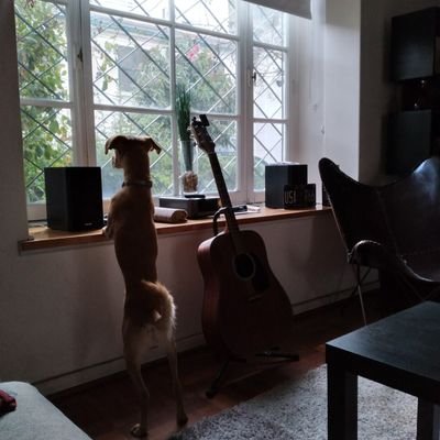 Papá por sobre todas las cosas. Tio favorito (supongo!). Me gusta jugar padel y tenis. Me gusta tocar el piano. Soy Cruzado. Soy Donante