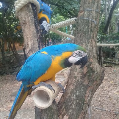 Abogado. Por la justicia, libertad de pensamiento, opinión y de culto. La Política sea un don de servir al bién, NO A LAS DICTADURAS.